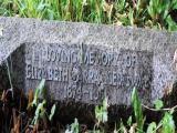 image of grave number 584109